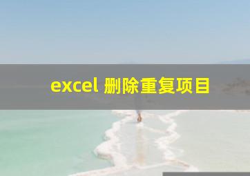 excel 删除重复项目